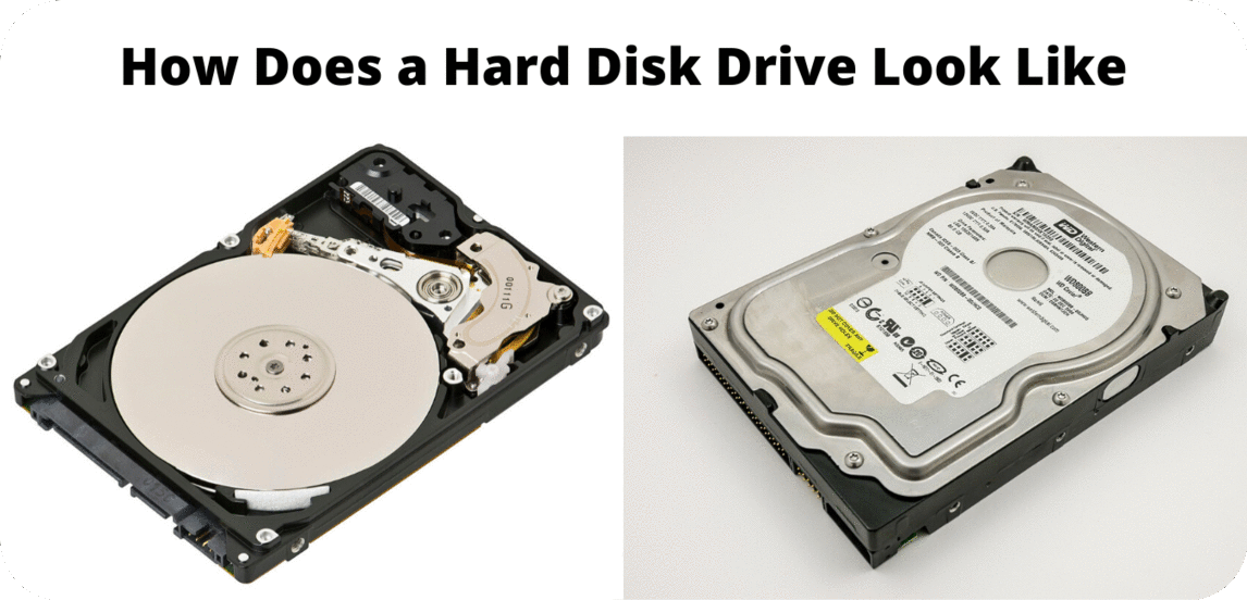 SSD vs HDD vs M.2: आपके लिए सबसे अच्छा Storage कौनसा है? 1