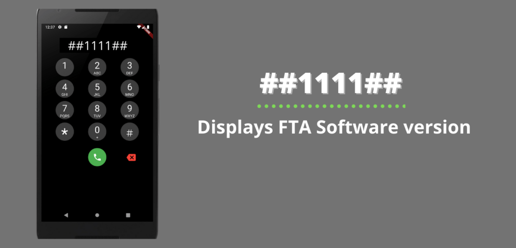 Displays FTA Software version